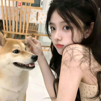 那年那兔那些事第五季